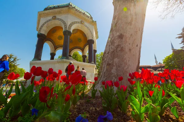 Luchtfoto Hagia Sophia Sultanahmet Plein Prachtige Tulp Bloemen — Stockfoto