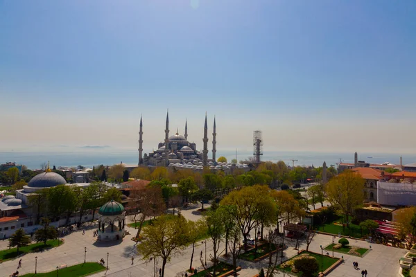 Havadan Ayasofya ve Sultanahmet Meydanı ve güzel lale çiçekleri