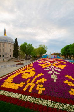 Mavi Cami (Sultanahmet Camii) ve Ayasofya, sarı laleler, İstanbul, Türkiye.