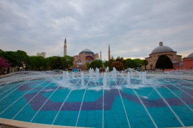 Mavi Cami (Sultanahmet Camii) ve Ayasofya, sarı laleler, İstanbul, Türkiye.