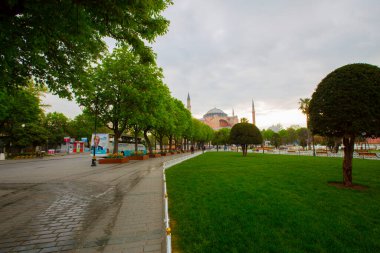 Mavi Cami (Sultanahmet Camii) ve Ayasofya, sarı laleler, İstanbul, Türkiye.