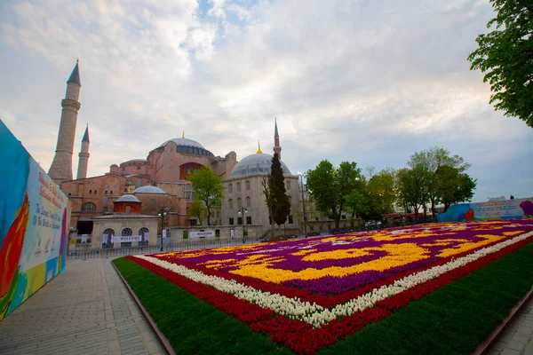 Синя Мечеть Мечеть Султанахмета Хагія Софія Жовті Тюльпани Стамбул Туреччина — стокове фото