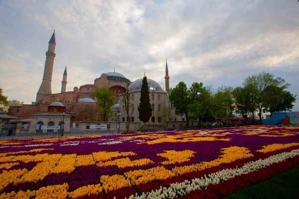 Blaue Moschee Sultanahmet Moschee Und Hagia Sophia Gelbe Tulpen Istanbul — Stockfoto