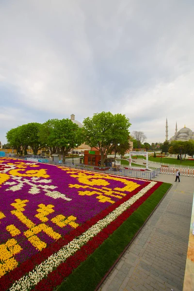 Blue Mosque Sultanahmet Mosque Hagia Sophia Yellow Tulips Istanbul Turkey — Stock Photo, Image