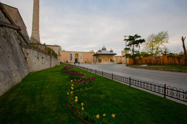 Moschea Blu Moschea Sultanahmet Santa Sofia Tulipani Gialli Istanbul Turchia — Foto Stock