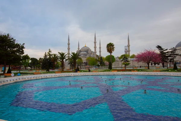 Blue Mosque Sultanahmet Mosque Hagia Sophia Yellow Tulips Isztambul Törökország — Stock Fotó
