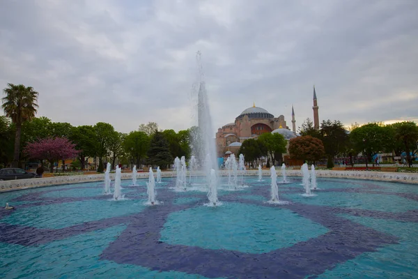 Blue Mosque Sultanahmet Mosque Hagia Sophia Yellow Tulips Isztambul Törökország — Stock Fotó