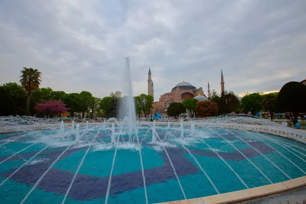 Синя Мечеть Мечеть Султанахмета Хагія Софія Жовті Тюльпани Стамбул Туреччина — стокове фото