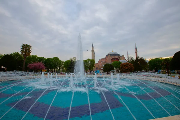 Blue Mosque Sultanahmet Mosque Hagia Sophia Yellow Tulips Istanbul Turkey — Stock Photo, Image