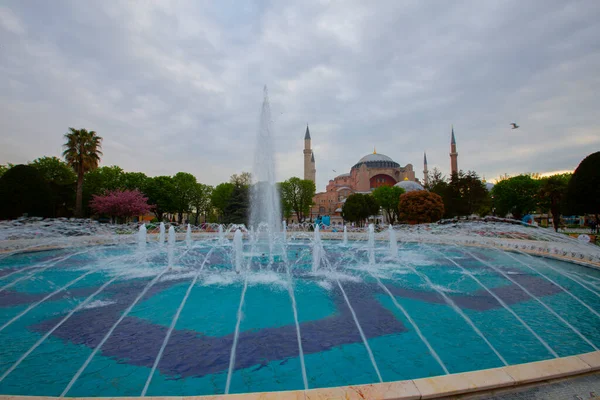 Μπλε Τζαμί Σουλταναχμέτ Τζαμί Και Αγία Σοφία Κίτρινες Τουλίπες Κωνσταντινούπολη — Φωτογραφία Αρχείου