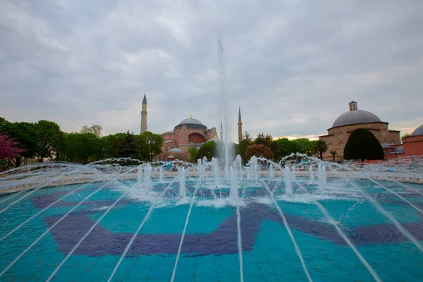 Blue Mosque Sultanahmet Mosque Hagia Sophia Yellow Tulips Isztambul Törökország — Stock Fotó