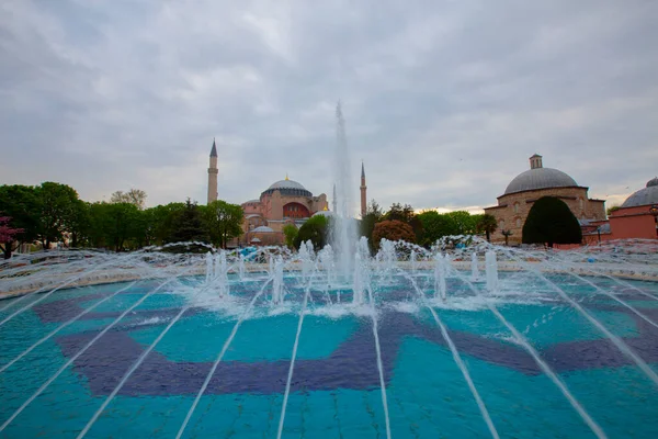 Błękitny Meczet Meczet Sultanahmet Hagia Sophia Żółte Tulipany Stambuł Turcja — Zdjęcie stockowe