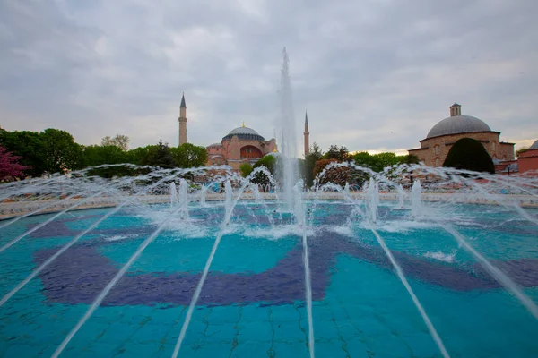 Blue Mosque Sultanahmet Mosque Hagia Sophia Yellow Tulips Isztambul Törökország — Stock Fotó