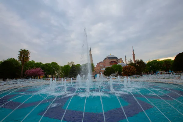 Blue Mosque Sultanahmet Mosque Hagia Sophia Yellow Tulips Isztambul Törökország — Stock Fotó
