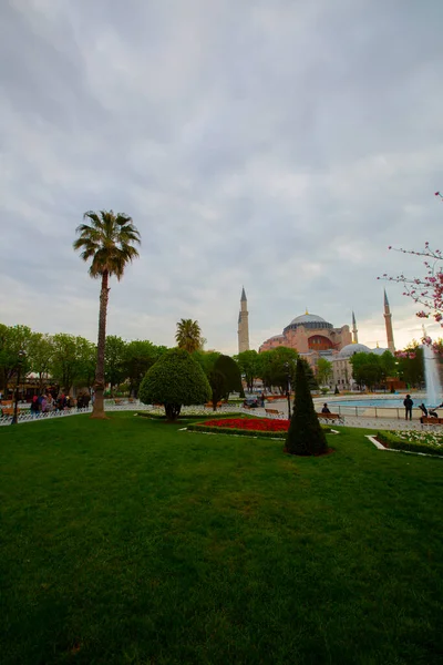 Moschea Blu Moschea Sultanahmet Santa Sofia Tulipani Gialli Istanbul Turchia — Foto Stock