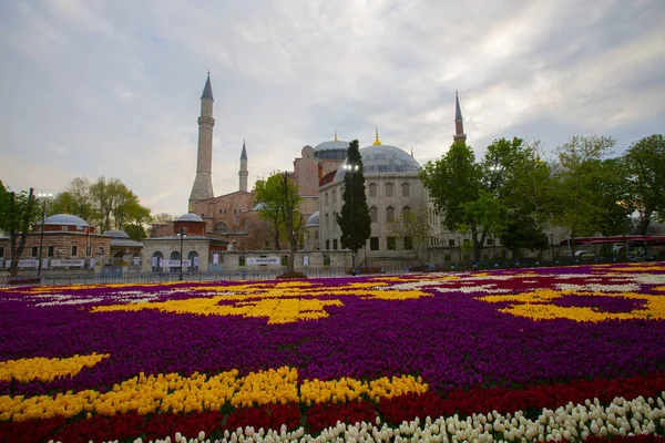 Blaue Moschee Sultanahmet Moschee Und Hagia Sophia Gelbe Tulpen Istanbul — Stockfoto