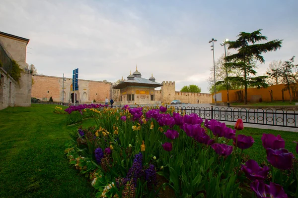 Moschea Blu Moschea Sultanahmet Santa Sofia Tulipani Gialli Istanbul Turchia — Foto Stock