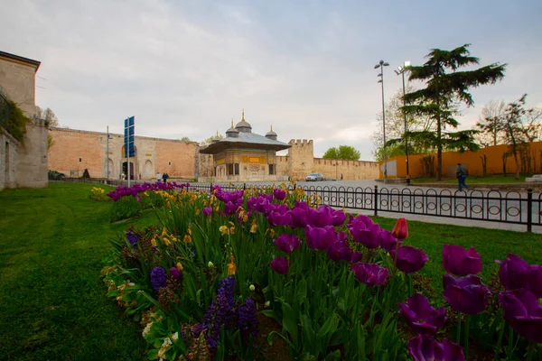 Moschea Blu Moschea Sultanahmet Santa Sofia Tulipani Gialli Istanbul Turchia — Foto Stock