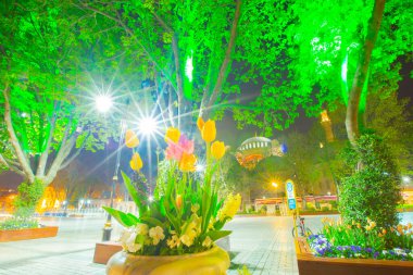 Sultanahmet Meydanı ve Lale Festivali