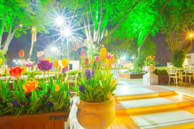 Sultanahmet Meydanı ve Lale Festivali