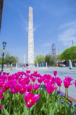 Sultanahmet Meydanı ve Lale Festivali