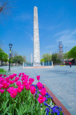 Sultanahmet Meydanı ve Lale Festivali