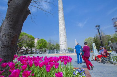 Sultanahmet Meydanı ve Lale Festivali
