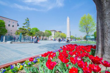 Sultanahmet Meydanı ve Lale Festivali