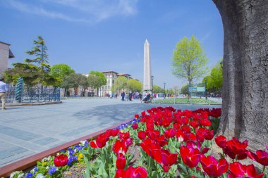 Sultanahmet Meydanı ve Lale Festivali