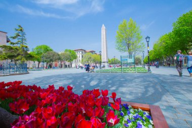 Sultanahmet Meydanı ve Lale Festivali