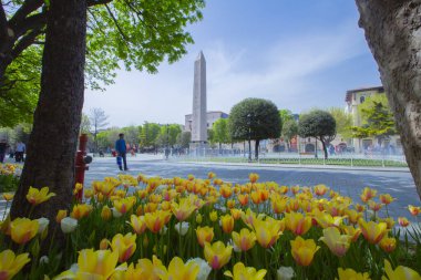 Sultanahmet Meydanı ve Lale Festivali