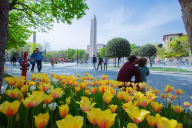 Sultanahmet Meydanı ve Lale Festivali