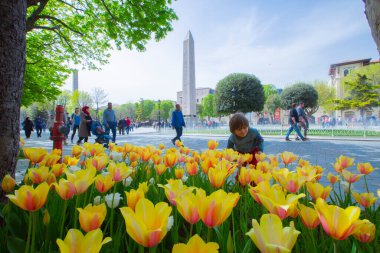 Sultanahmet Meydanı ve Lale Festivali