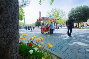 Sultanahmet Meydanı ve Lale Festivali
