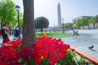 Sultanahmet Meydanı ve Lale Festivali