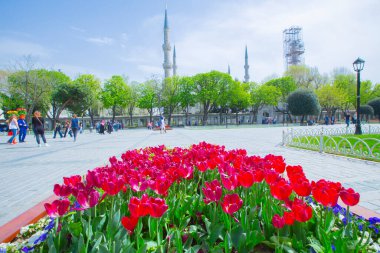 Sultanahmet Meydanı ve Lale Festivali