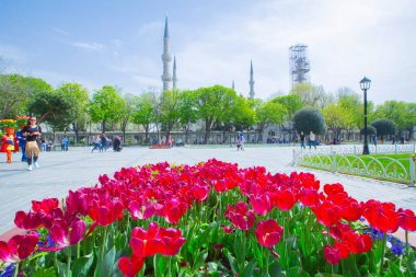 Sultanahmet Meydanı ve Lale Festivali