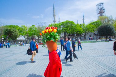 Sultanahmet Meydanı ve Lale Festivali