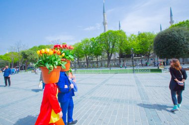 Sultanahmet Meydanı ve Lale Festivali
