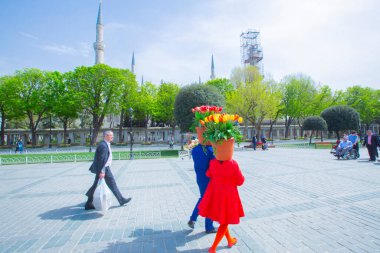 Sultanahmet Meydanı ve Lale Festivali