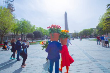 Sultanahmet Meydanı ve Lale Festivali