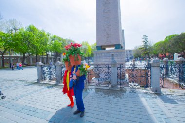 Sultanahmet Meydanı ve Lale Festivali