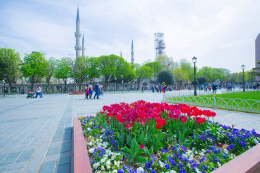 Sultanahmet Meydanı ve Lale Festivali