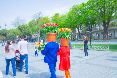 Sultanahmet Meydanı ve Lale Festivali