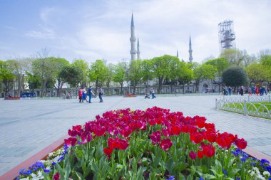 Sultanahmet Meydanı ve Lale Festivali