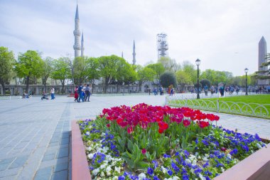 Sultanahmet Meydanı ve Lale Festivali