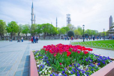 Sultanahmet Meydanı ve Lale Festivali