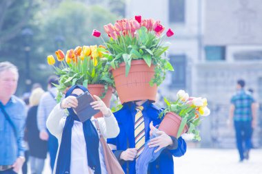 Sultanahmet Meydanı ve Lale Festivali