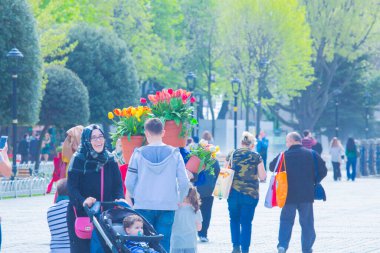 Sultanahmet Meydanı ve Lale Festivali