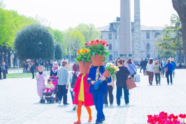 Sultanahmet Meydanı ve Lale Festivali
